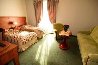 Отель Hotel Młyn & SPA Влоцлавек Двухместный номер с 2 отдельными кроватями-9